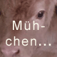 Kälbchen